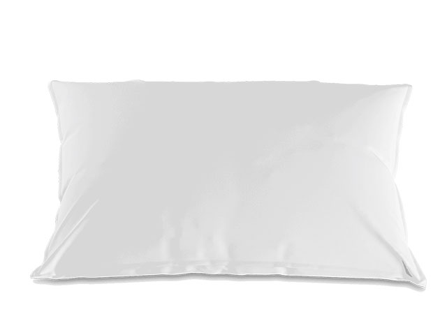 Master pillow Classic Arve