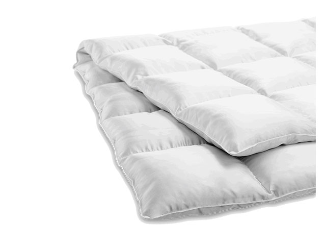 Duvet MasterLuxe Eider